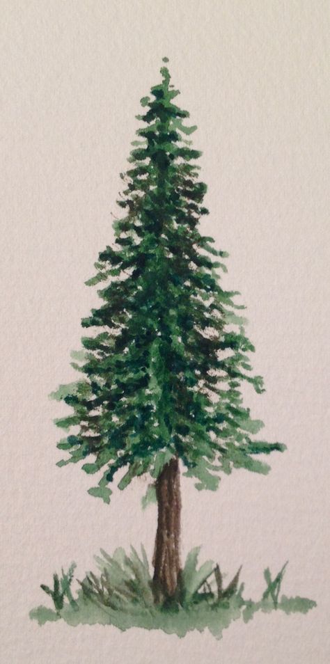 Pine Tree Water color Simple Pine Tree Watercolor, Spruce Tree Painting, Pine Tree Painting Easy, Pine Tree Watercolor, Mirror Painting Ideas, Tree Painting Easy, Pine Tree Drawing, Tree Drawings, Pine Tree Painting