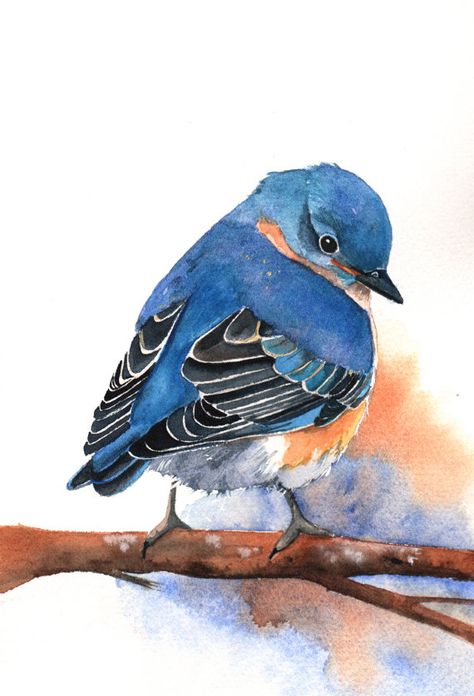 Bluebird Painting, Bird Watercolor Paintings, 수채화 그림, Watercolor Inspiration, Arte Animal, Watercolor Bird, Mail Art, Watercolor Animals, Bluebird