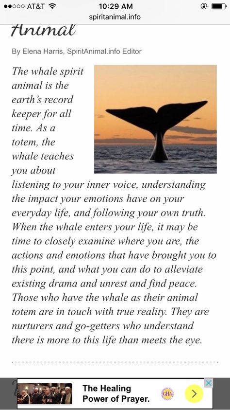 About whale Whale Symbolism Meaning, Whale 52, Whale Shark Quotes, Whale Quotes, Whale Spirit Animal Meaning, Shark Meaning, Whale Meaning, Blue Whale Quotes, Whale Symbolism