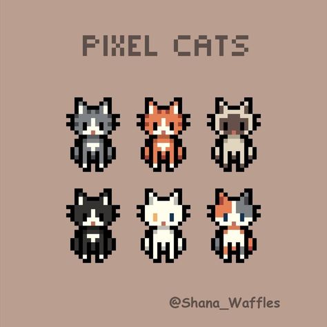 Stardew Valley Cat Pixel Art, Simple Cat Pixel Art, Khaenri'ah Aesthetic, 2d Pixel Character, Stardew Valley Pixel Art, Animal Pixel Art, Pixel Art Cat, How To Pixel Art, Cat Pixel Art