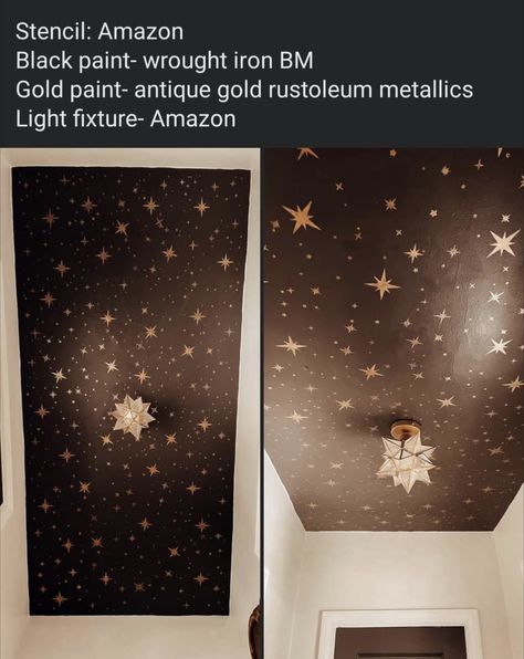 Dark Ceiling Hallway, Whimsical Home Design, Dark Wainscoting, Goblincore Bedroom, Starry Ceiling, Creative Wall Art, Dark Home Decor, Wall Art Ideas, Dark Home