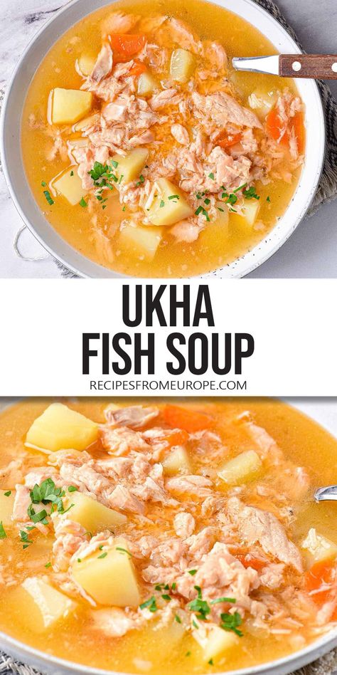 Want to make Ukha? This version of the classic Russian fish soup is made with salmon and delicious vegetables for a flavorful dish! Russian Fish Recipes, Frozen Fish Recipes, Greek Fish, Borscht Soup, Fish Dinner Recipes, Russian Food, Fish Soup, Fish Dinner, Hungarian Recipes