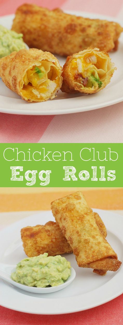 Chicken Club Egg Rolls - the most delicious egg roll recipe! Filled with chicken, bacon, avocado, and cheddar cheese. Plus, an amazing avocado ranch dipping sauce! Eggroll Recipe, Chicken Bacon Avocado, Dinners Ideas, Egg Roll Filling, Ranch Dipping Sauce, Chicken Club, Avocado Ranch, Bacon Avocado, Egg Roll Recipes