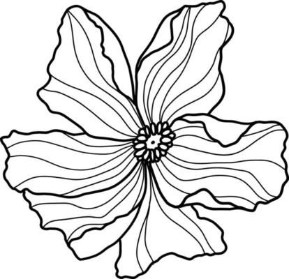 Summer meadow line art wildflowers, herbs and stems. Flowers and leaves. 22534057 Vector Art at Vecteezy Botanical Flowers Drawing, Line Art Leaves, Line Drawing Flowers, Embroidery Tracing, Line Drawing Flower, Outline Flowers, Floral Motif Design, Stencil Flower, Flower Line Drawing