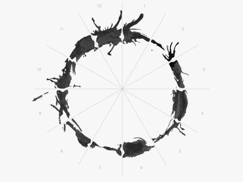 Alien Alphabet from “Arrival” Arrival Aliens, Generative Typography, Arrival Film, Arrival Language, Alien Alphabet, Arrival Movie, Coding Software, Writing Systems, The Arrival