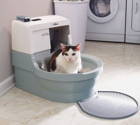 How to Clean Your CatGenie In 10 Easy Steps Cat Genie, Best Litter Box, Automatic Litter Box, Cat Box, Cat Behavior, Pet Stuff, Cat Litter Box, Litter Box, All About Cats