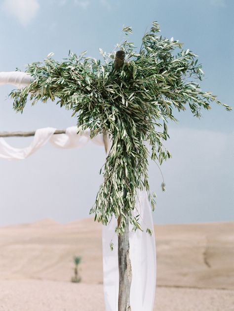 Contrasting Altar Detail Branch Arch Wedding, Ceremony Alter, Branches Decor, Olive Branch Wedding, Arabian Wedding, Alter Decor, Bohemian Weddings, Wedding Alters, Outdoor Wedding Photography