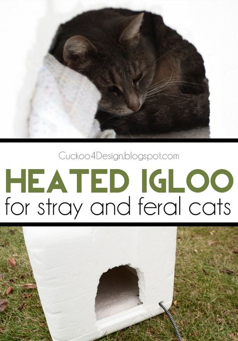 DIY heated igloo for stray and feral cats Cat Igloo, Cat Shelters, Heated Cat House, Cat House Plans, Outdoor Cat Shelter, Feral Cat Shelter, Diy Chat, Cat House Diy, Feral Cat