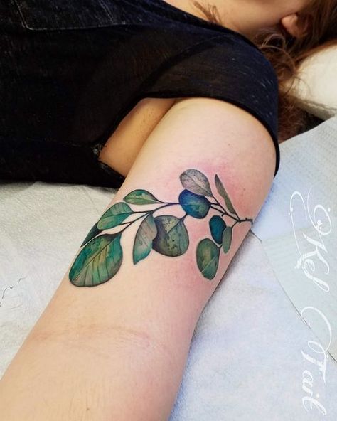 kel tait on Instagram: "Watercolor eucalyptus leaves. Would anyone like to see more smaller up for grabs like this? . #eucalyptustrees #silverdollareucalyptus #eucalyptustattoo #leavestattoo #leaftattoo" Eucalyptus Tattoo, Olive Branch Tattoo, Branch Tattoo, Tattoo Instagram, Watercolor Eucalyptus, Flash Sheet, Silver Dollar Eucalyptus, Plant Tattoo, Watercolor Plants