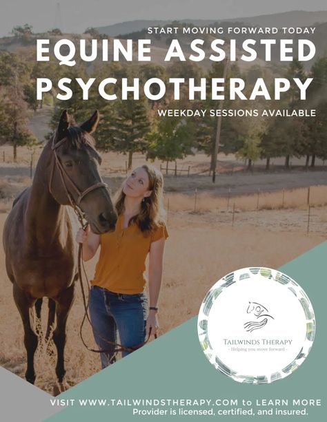 Equine Assisted Therapy Activities, Equine Therapy Activities, Equine Assisted Therapy, Therapeutic Horseback Riding, Horse Business, Clovis California, Therapeutic Recreation, Stable Ideas, Therapy Practice