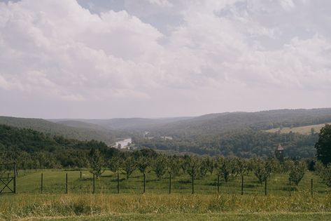 Seminary Hill Wedding Venue in Calicoon: Captivating Scenic Views for Your Special Day. Joshua Brown, Hill Wedding, Your Special, Scenic Views, Wedding Details, Wedding Venue, Special Day, Wedding Venues