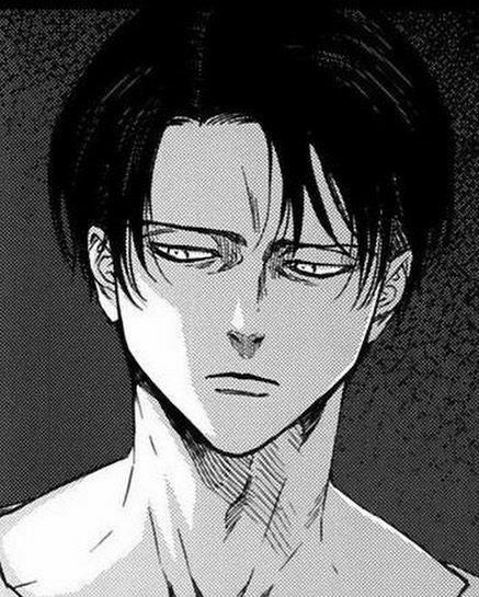 Levi X Reader, Captain Levi, Attack On Titan Levi, Attack On Titan Art, X Reader, Levi Ackerman, Attack On Titan Anime, Dark Anime, An Anime