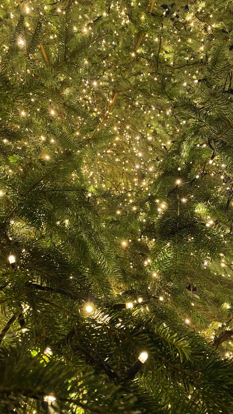 Christmas Glitter Aesthetic, Dark Green Aesthetic Christmas, Christmas Garland Aesthetic, Wintergreen Aesthetic, Evergreen Christmas Aesthetic, Christmas Vibes Cozy Wallpaper, Light Green Christmas Wallpaper, Cosy Christmas Wallpaper, Light Green Christmas Aesthetic