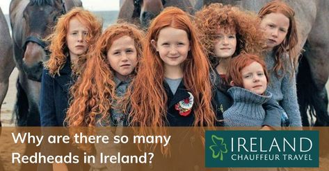 November 5th is National Redhead Day, and it’s every redhead’s chance to celebrate their unique hair color - Did you know that only 1 - 2% of the world's population has this gorgeous color hair? About 10% of the Irish population has red hair - the highest incidence of it in the world! Redheads are often described as “fiery” and “hot-tempered” - Are the stereotypes true? and why are there so many redheads in Ireland?! Read on to find out why... Irish Red Hair, National Redhead Day, Unique Hair Color, Irish Redhead, Redhead Day, Gangs Of New York, Hair Color Unique, Natural Redhead, Unique Hair