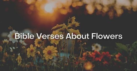 53+ Bible Verses About Flowers Wildflower Scripture, Bible Verses About Flowers, Verses About Flowers, Flower Bible Verse, Psalm 96, Floral Bible Verse, Short Bible Verses, John 15 5, Smelling Flowers