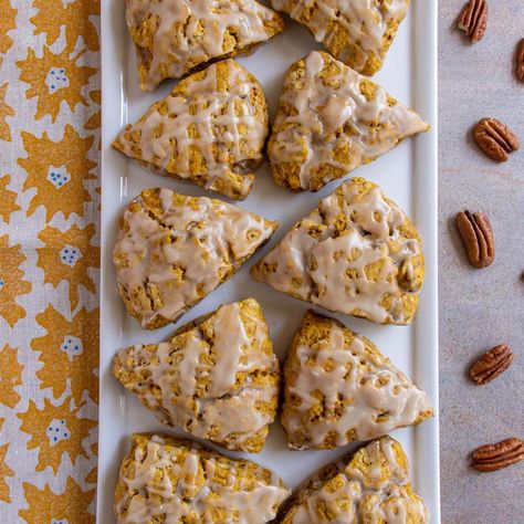 These Pumpkin Pecan Scones are the perfect trifecta of fall flavors. The ubiquitous pumpkin is heightened by the crunch of nutty pecans and sweet maple glaze. You'll never want another pumpkin scone after trying these. Pumpkin Potpourri, Pecan Scones, Pumpkin Scones Recipe, Thanksgiving 2023, Pumpkin Scones, Pumpkin Recipe, Fall Flavors, Maple Glaze, Pumpkin Pecan