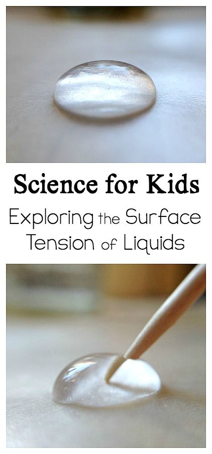 Science Experiment for Kids: Explore the surface tension of water and other liquids in this fun and easy science activity for children!  #stem #science #scienceforkids #scienceexperiment #handsonscience #surfacetension Simple Physics Experiments, Surface Tension Experiment For Kids, Non Newtonian Fluid Experiment, Density Of Liquids Experiment, Water Refraction Experiment, Easy Art Lessons, Surface Tension, Summer Science, Science Club