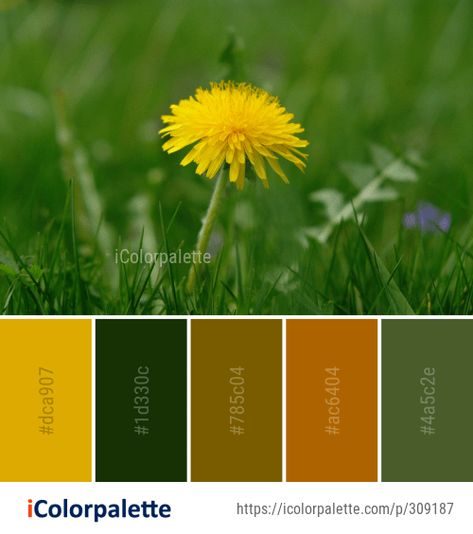 Color Palette Ideas from Flower Yellow Dandelion Image Dandelion Color, Smoothie Bowl Recipe Healthy, Yellow Dandelion, Dandelion Yellow, Color Palette Ideas, Closet Colors, Palette Ideas, Color Rush, Flower Yellow