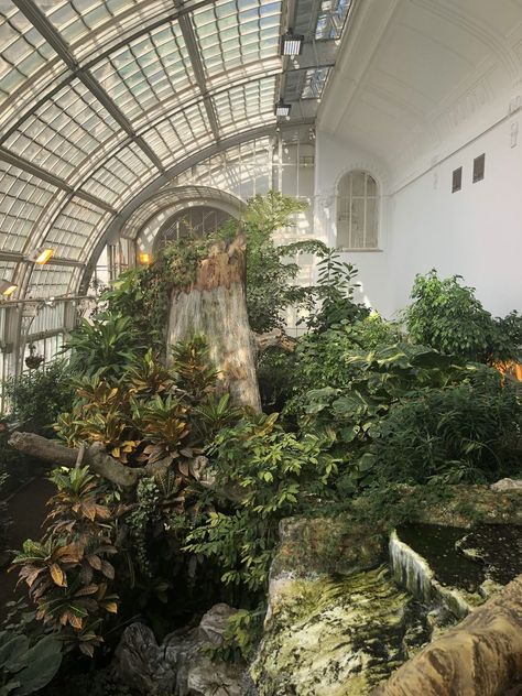 Schmetterlinghaus: The Imperial Butterfly Park – Vienna, Austria - Atlas Obscura Butterfly Garden House, Butterfly Sanctuary Aesthetic, Butterfly Atrium, Inside Greenhouse, Butterfly Conservatory, Butterfly Sanctuary, Butterfly Place, Butterfly Farm, Butterfly Park