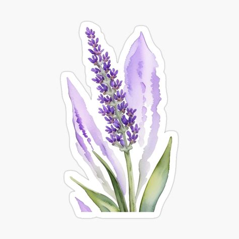 Get my art printed on awesome products. Support me at Redbubble #RBandME: https://www.redbubble.com/i/sticker/Lavender-Watercolour-Flower-In-a-Lavender-Haze-by-Duck-DuckGoose/164297048.EJUG5?asc=u Lavender Stickers Aesthetic, Purple Aesthetic Stickers, Lavender Watercolour, Lavender Icon, Purple Stickers, Watercolour Flower, Lavender Haze, Flower Stickers, Calendar Planner