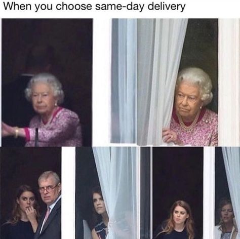 Queen Elizabeth Memes, British Memes, British Humor, Rules And Regulations, Elisabeth Ii, Funny Family, Family Funny, The British Royal Family, Family Humor