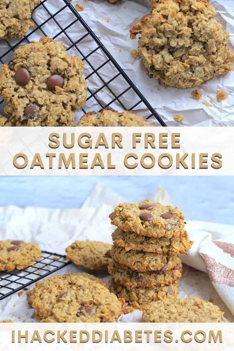 Indulge in guilt-free snacking with these sugar-free oatmeal cookies! Satisfy your sweet tooth without the added sugar. Trust us, your taste buds will thank you! ?? #sugarfree #oatmealcookies #healthysnacking #yum Sugar Free Oatmeal Cookies, Sugar Free Oatmeal, Low Carb Oatmeal, Low Carb Cookies Recipes, Chocolate Chip Oatmeal Cookies, Sugar Free Baking, Sugar Free Recipes Desserts, Sugar Free Cookies, Sugar Free Chocolate Chips