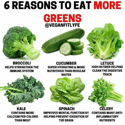 @veganclassroom on Instagram: “Green leafy vegetables are a great source of vitamin K, essential for good blood coagulation. They also have a high content of vitamins A,…” Eat More Greens, Monthly Routine, Food Health Benefits, Trening Fitness, Daily Health Tips, Super Greens, Healing Food, Lean Body, Green Vegetables