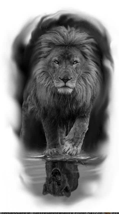 Lion Reflection Tattoo, Lion Walking Tattoo, Milo Tattoo, Christian Tattoos Men, Lion Cub Tattoo, Reflection Tattoo, Lion Walking, Lion Art Tattoo, Cubs Tattoo