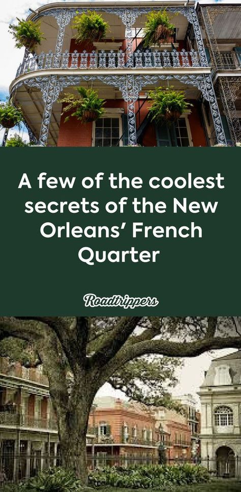 French Quarter Outfit, Louisiana Travel Things To Do, New Orleans Aesthetic French Quarter, New Orleans Halloween, Nola Trip, New Orleans Christmas, Port Orleans French Quarter, New Orleans Travel Guide, Traveling Family