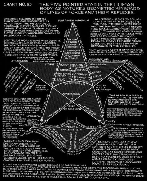 Polarity Therapy, The Satanic Bible, Human Spine, Secret Societies, Sacred Science, Sacred Geometry Symbols, Masonic Symbols, Occult Symbols, Alchemy Symbols