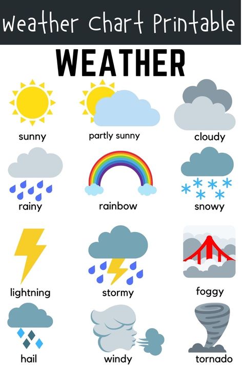 Weather Poster, Weather For Kids, Weather Activities Preschool, Weather Activities For Kids, Preschool Charts, Preschool Weather, Weather Vocabulary, Teach English To Kids, English For Kids