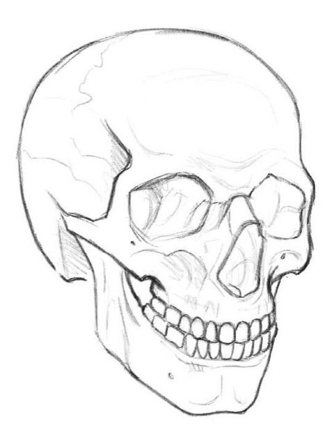 Simple Skull Drawing, Art Messages, Skull Side View, Draw A Skull, Simple Skull, Skull Sketch, Draw Realistic, Using Procreate, Skull Illustration