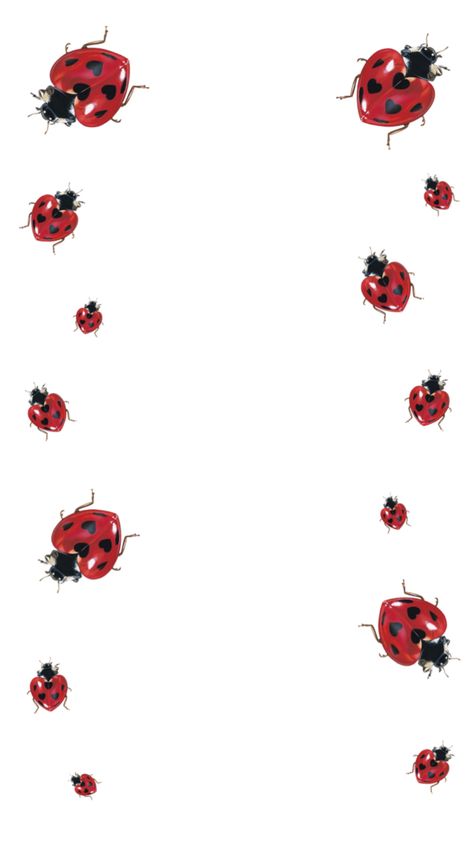 Ladybug Phone Wallpaper, Ladybug Background Wallpapers, Ladybug Wallpaper Aesthetic, Ladybug Background, Ladybug Meaning, Ladybug Aesthetic, Ladybug Art, Ladybug Wallpaper, Cloud Wallpaper