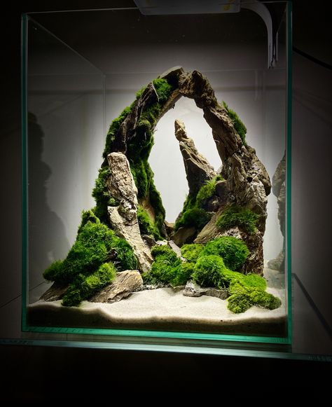 Aquarium 30x30x35 cm Aquaman Design, Tank Aquariums, Aquarium Garden, Aquascape Design, Aquarium Terrarium, Nano Aquarium, Shrimp Tank, Aquarium Landscape, Nature Aquarium