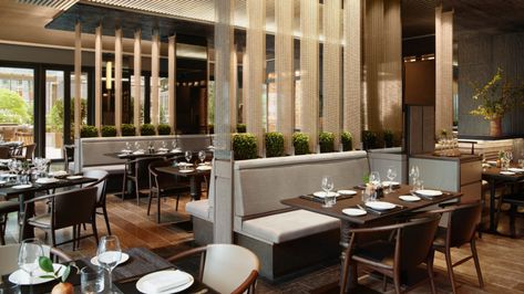 Aman New York: First In | Condé Nast Traveler Aman New York, New York Hotels, New York Pictures, Italian Dining, Contemporary Luxury, Jean Michel, Fine Dining Restaurant, Luxury Accommodation, Wine Room