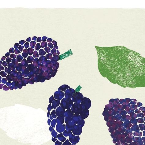 Rebecca Hollingsworth | Becca Kate Prints on Instagram: "Day 10 of #theydrawtober - Mulberries . . . . . . #drawing #foodillustration #illustration #designer #illustrator #foodillustrator #berries #mulberry #illustrationoftheday#womenillustrators #texture #editorial #mulberries #fooddrawing #blackberry #illustrationartist #foodie #dailyart #printandpattern #october #inktober #drawingchallenge #autumn #weareillustration #foodillustrations #digitalillustration #procreate #artprint #theydrawand Mulberry Drawing, Mulberry Illustration, Blackberry Drawing, Blackberry Illustration, Blackberry Art, Little Garden, Food Drawing, Illustration Artists, Blue Walls