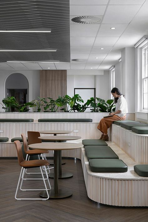 Australian Unity Fitout, Herston | Ellivo Architects - Australian Institute of Architects Office Ceiling Tiles, Sitting Elegantly, Welcoming Aesthetic, Edith Cavell, Acoustic Ceiling Tiles, Tiered Seating, Heritage Building, Office Ceiling, Acoustic Ceiling