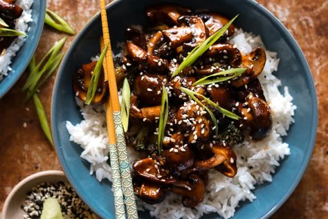 spicy ginger teriyaki mushrooms and broccoli – The Foul-Mouth Gourmet Teriyaki Mushrooms, Teriyaki Recipes, Mushrooms And Broccoli, Oyster Mushroom Recipe, Garlic Butter Mushrooms, Teriyaki Recipe, Oyster Mushrooms, Homecooked Meals, Roasted Mushrooms