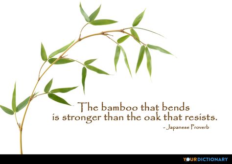 The bamboo that bends is stronger than the oak tha... - Japanese Proverb Quote Zen Proverbs, Distance Quotes, Quotes Long, Quotes Change, Quotes Peace, Quotes Summer, Quotes Strong, Zen Moments, Service Quotes