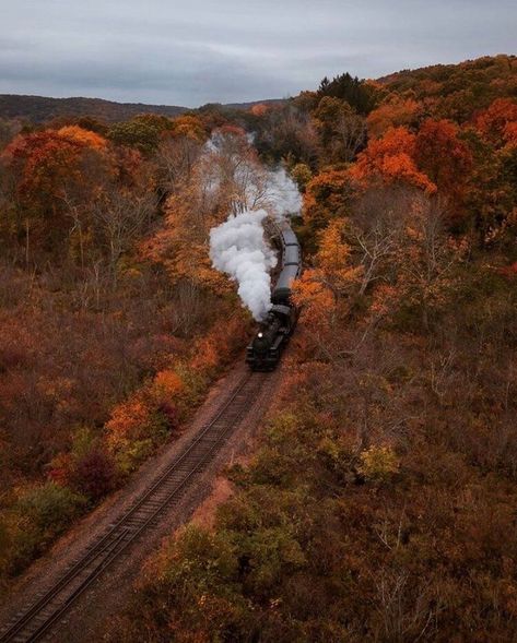 Aesthetic Background Green, Connecticut Fall, Train View, Evermore Aesthetic, Mine Aesthetic, Fall Photography, Background Green, Autumn Magic, Green Pumpkin