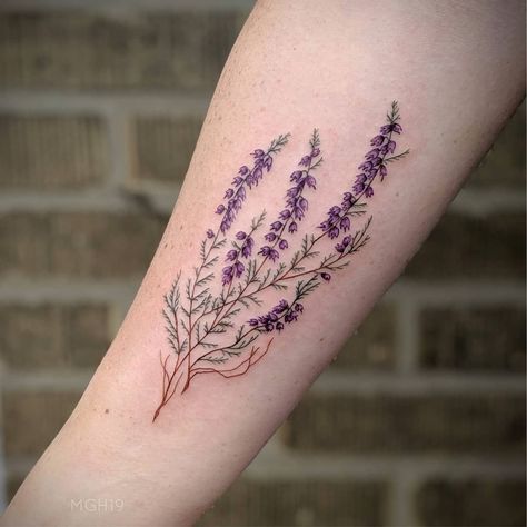 purple heather flower tattoo - howtowearanklebootswithskirts Heather Flower Tattoo, Heather Tattoo, Scotland Tattoo, Earthy Tattoos, Flower Spine Tattoos, Heather Flower, Fun Tattoo, Lavender Tattoo, Sister Tattoo