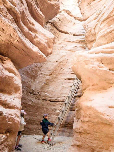 One of the best things to do around Palm Springs with kids is to get our hiking. We have 4 of the top hikes near Palm Springs to do with kids. They aren't all easy, but your kids will love each one of them! One even leaves right from the Living Desert Zoo in Palm Springs! #hikingwithkids #palmsprings #familytravel The Living Desert Palm Springs, Palm Springs Hiking Trails, Living Desert Zoo Palm Springs, Palm Springs Hikes, Indian Canyons Palm Springs, Palm Springs With Kids, Things To Do In Palm Springs, Stagecoach 2024, Palm Springs Hiking