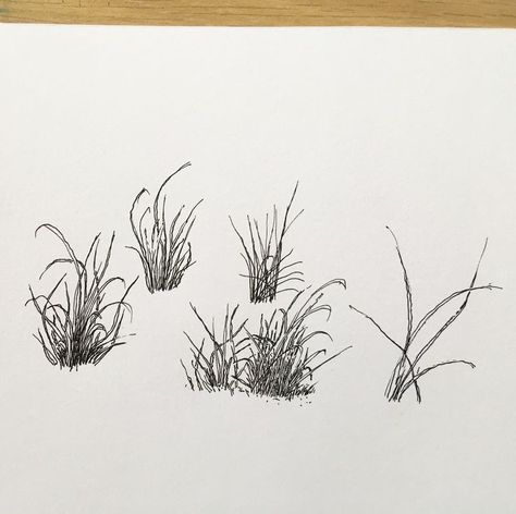 Grass Tutorial Drawing, Grass Tattoo Design, Grass Tattoo, Grass Drawing, Plant Sketches, Landscape References, Grass Painting, Whimsical Art Paintings, Perspective Drawing Lessons