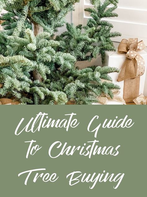 Christmas Tree Height Guide, Childhood Christmas, Best Artificial Christmas Trees, Winter Prints, Live Christmas Trees, Christmas Tree Decorating Themes, Buy Christmas Tree, Single Tree, Real Christmas Tree