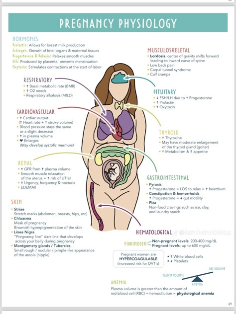 Midwifery Student Notes, Intrapartum Nursing, Gynecologist Aesthetic, Midwifery Notes, Gynecologist Exam, Obgyn Doctor, Nursing School Prep, Nursing School Studying Cheat Sheets, Obstetrics Nursing