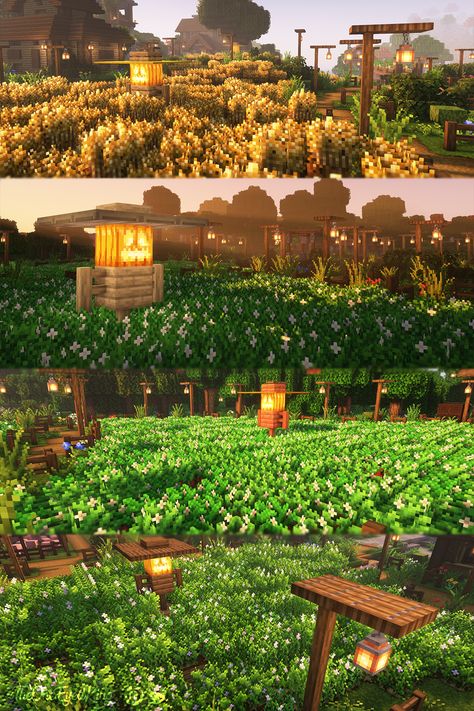 The first farmlands for wheat, carrots, beatroot and potatoes. color variation for each scarecrow Minecraft Farm Wall, Scare Crow Minecraft, Minecraft Starter Farm Ideas, Minecraft Potato Farm Design, Farm Idea Minecraft, Potato Farm Minecraft, Carrot Farm Minecraft, Minecraft Farmland Ideas, Minecraft Farm Decor