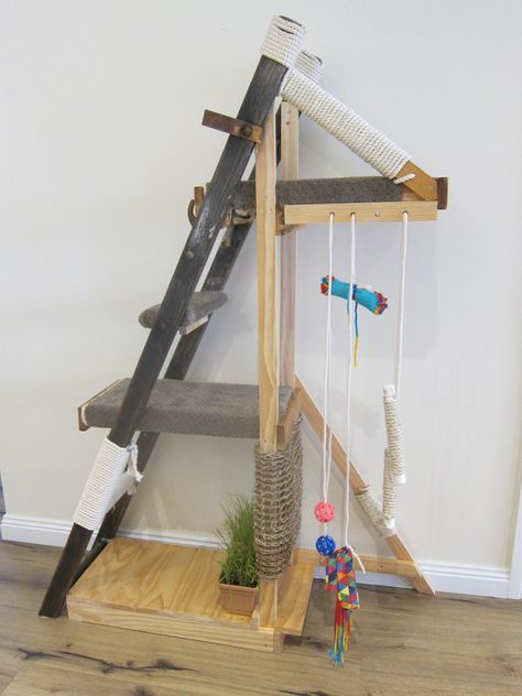 Cat Setup, Cat Trees Homemade, Stray Cat Strut, Cat Habitat, Cat Ladder, Pet Teepee, Cat Gym, Diy Cat Tree, Play Activity