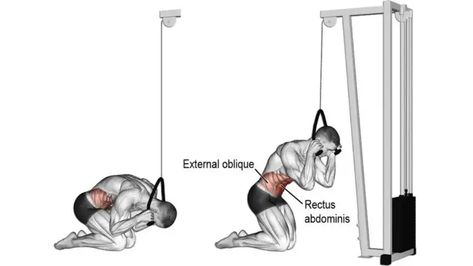 Cable Crunch targets your abs muscles Cable Machine Workout, Rectus Abdominis, Cable Workout, Upper Abs, Ab Workout Men, Workout Abs, Cable Machine, Best Abs, Abdominal Exercises