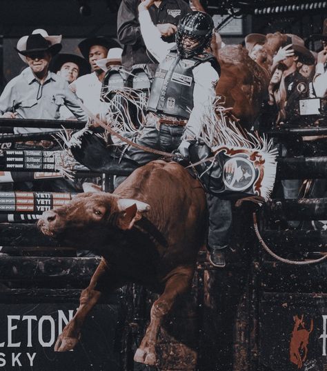 Bull Riding Pictures, Female Bull Riders, Pbr Aesthetic, Bullrider Aesthetic, Rodeo Life Aesthetic, Bull Rider Aesthetic, Bull Riding Aesthetic, Rodeo Painting, Jake Dawson