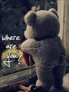 A Teddy Bear, Waiting For You, The Words, Teddy Bear, Quotes